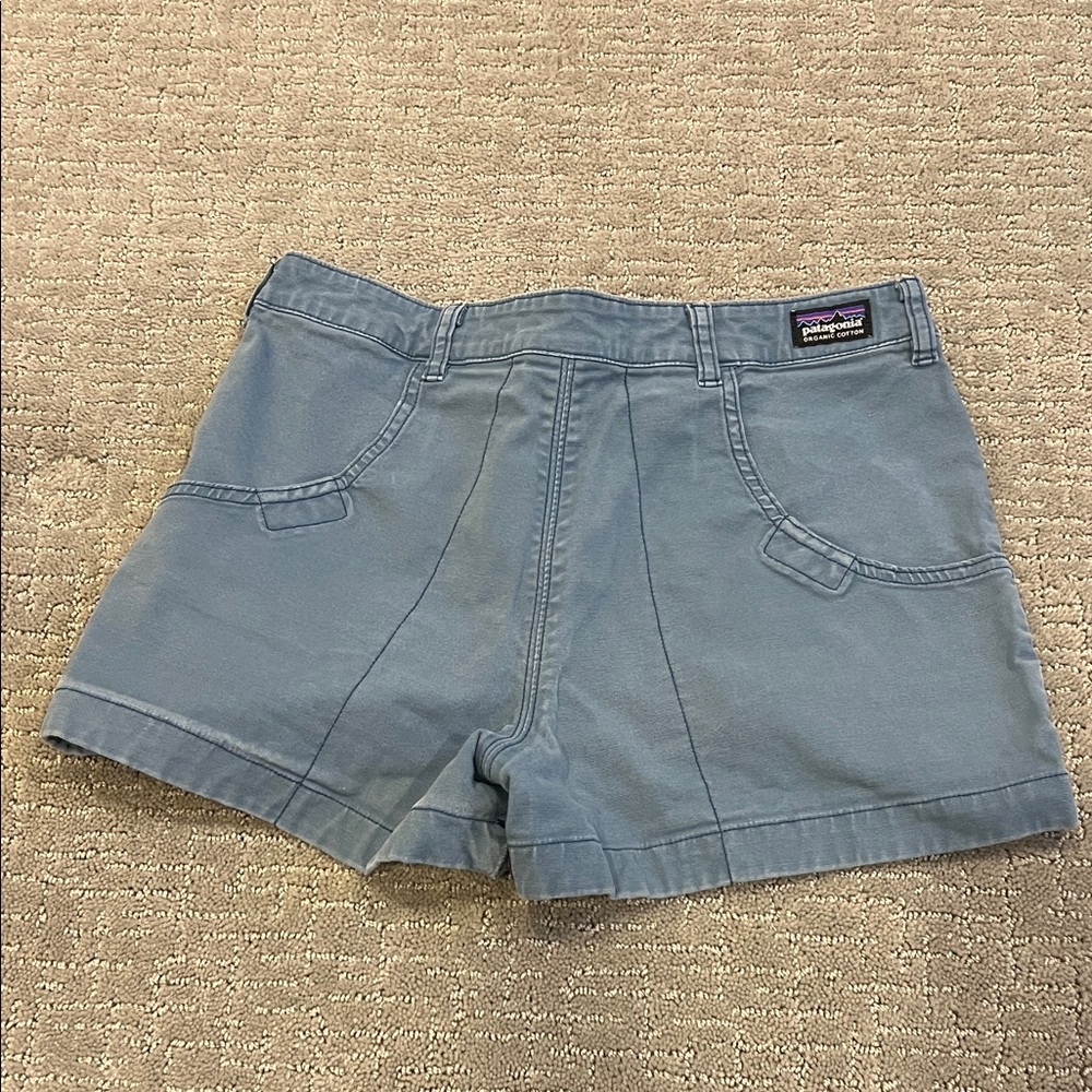 Patagonia Women's Light Blue Shorts